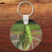 Katydid ~ Schlüsselanhänger (Vorderseite)