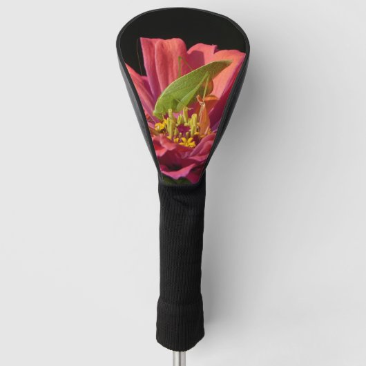 Katydid über Zinnia Golf Headcover (Vorderseite)