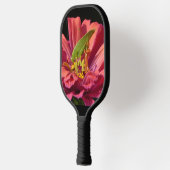 Katydid über Zinnia Pickleball Schläger (Links)