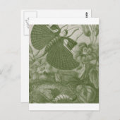 Katydids Postkarte (Vorne/Hinten)