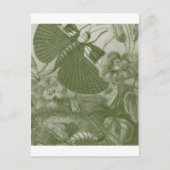 Katydids Postkarte (Vorderseite)