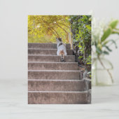 Katz (Stehend Vorderseite)