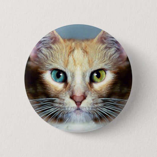Katz Button (Vorderseite)