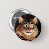 katz button (Vorne & Hinten)