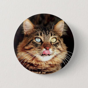 katz button