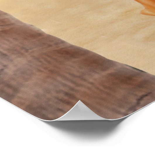 KATZ DER SICHERHEITSMÄDCHEN POSTER (Ecke)