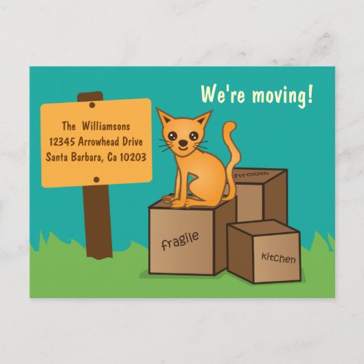 Katz mit Schachtel - Wir bewegen Postkarte (Vorderseite)