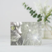 Katz Postkarte (Stehend Vorderseite)