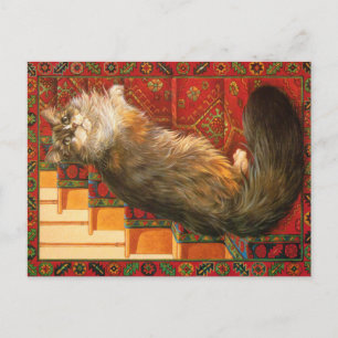 KATZBILDUNG  POSTKARTE