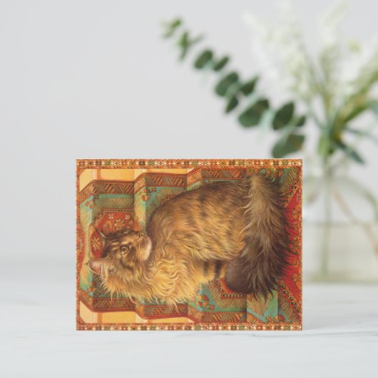 KATZBILDUNG POSTKARTE (Stehend Vorderseite)