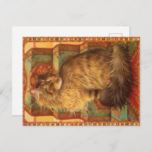 KATZBILDUNG POSTKARTE (Vorne/Hinten)