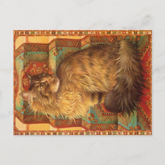 KATZBILDUNG POSTKARTE (Vorderseite)