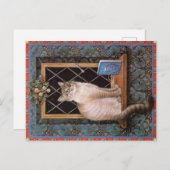 KATZBILDUNG POSTKARTE (Vorne/Hinten)