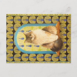 KATZBILDUNG POSTKARTE