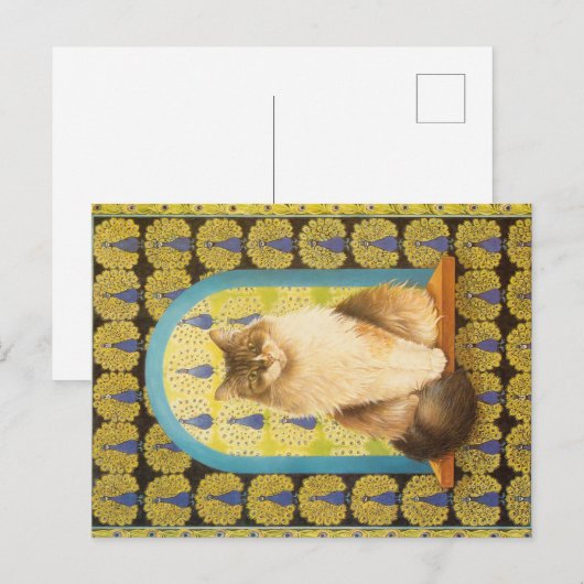 KATZBILDUNG POSTKARTE (Vorne/Hinten)