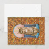 KATZBILDUNG POSTKARTE (Vorne/Hinten)