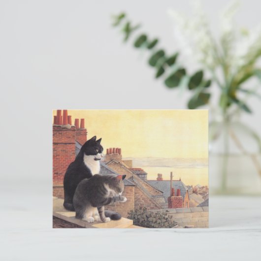 KATZBILDUNG POSTKARTE (Stehend Vorderseite)