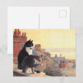 KATZBILDUNG POSTKARTE (Vorne/Hinten)