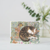 KATZBILDUNG POSTKARTE (Stehend Vorderseite)