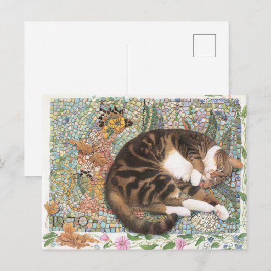KATZBILDUNG POSTKARTE (Vorne/Hinten)