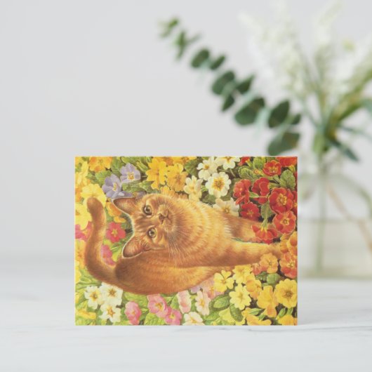 KATZBILDUNG POSTKARTE (Stehend Vorderseite)