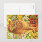 KATZBILDUNG POSTKARTE (Vorne/Hinten)