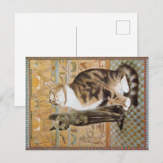 KATZBILDUNG POSTKARTE (Vorne/Hinten)