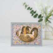 KATZBILDUNG POSTKARTE (Stehend Vorderseite)