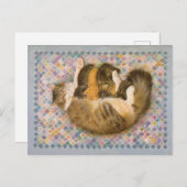 KATZBILDUNG POSTKARTE (Vorne/Hinten)
