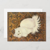 KATZBILDUNG POSTKARTE (Vorne/Hinten)