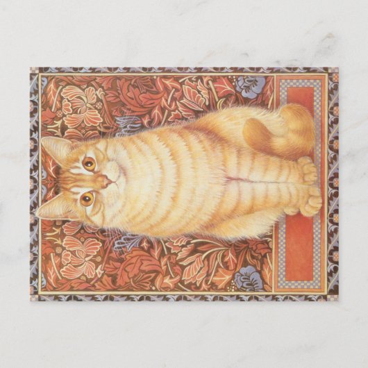 KATZBILDUNG POSTKARTE (Vorderseite)