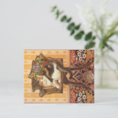 KATZBILDUNG POSTKARTE (Stehend Vorderseite)