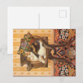 KATZBILDUNG POSTKARTE (Vorne/Hinten)