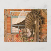 KATZBILDUNG POSTKARTE (Vorderseite)