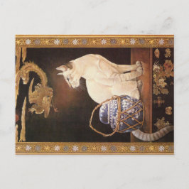 KATZBILDUNG POSTKARTE