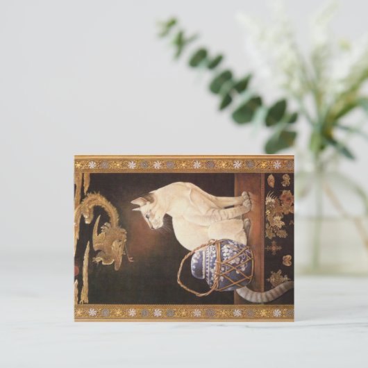 KATZBILDUNG POSTKARTE (Stehend Vorderseite)