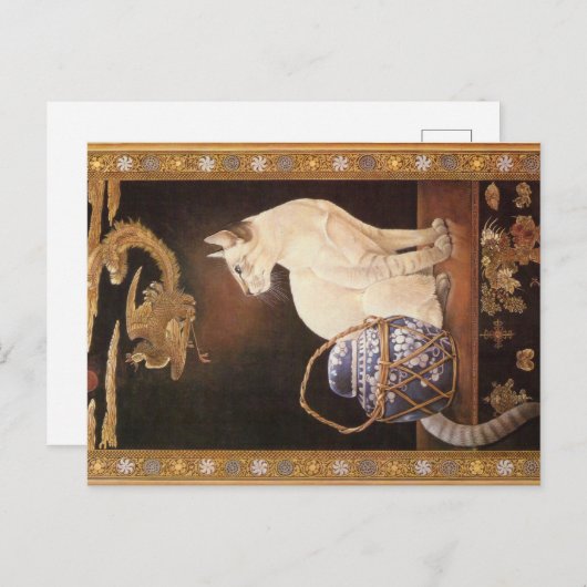 KATZBILDUNG POSTKARTE (Vorne/Hinten)