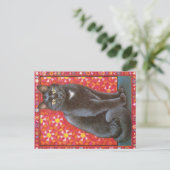 KATZBILDUNG POSTKARTE (Stehend Vorderseite)