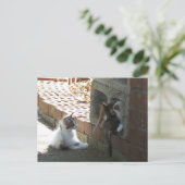 Kätzchen 050 Postkarte (Stehend Vorderseite)