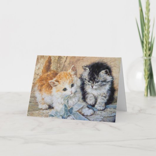 Kätzchen, 1893 karte (Vorderseite)