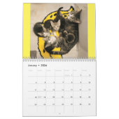 Kätzchen! 2024 Mein Kittenkalender für die Feralfr Kalender (Jan 2026)