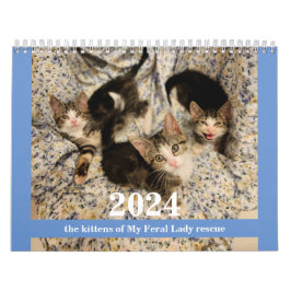 Kätzchen! 2024 Mein Kittenkalender für die Feralfr Kalender