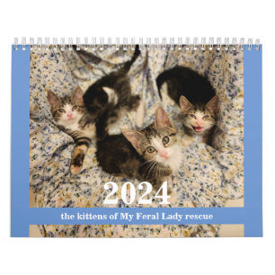 Kätzchen! 2024 Mein Kittenkalender für die Feralfr Kalender