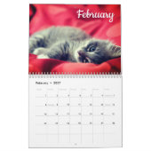 Kätzchen 2026 Kalender (Feb 2027)
