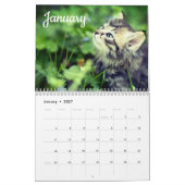 Kätzchen 2026 Kalender (Jan 2027)
