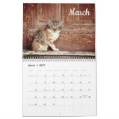 Kätzchen 2026 Kalender (Mär 2027)