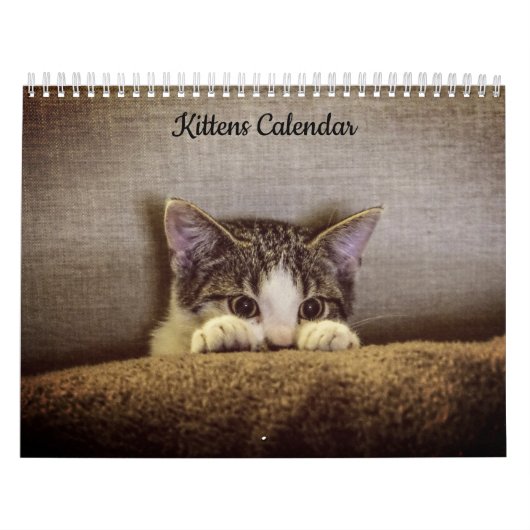 Kätzchen 2026 Kalender (Titelbild)