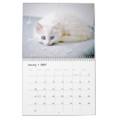 Kätzchen 2026 Kalender (Jan 2027)