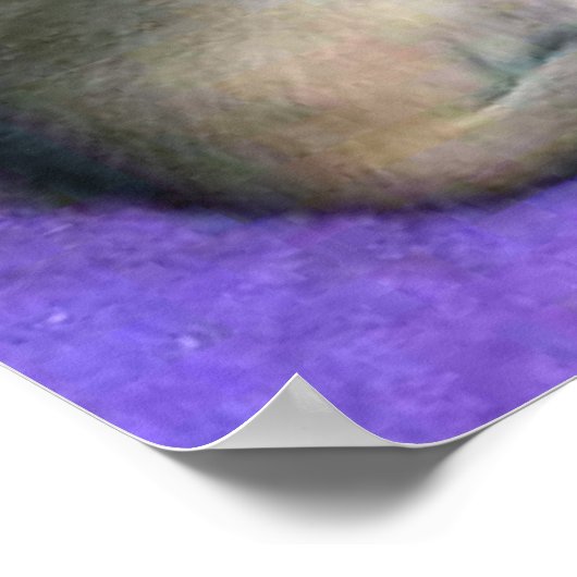 Kätzchen 3 Wochen alt Abessinier Poster (Ecke)