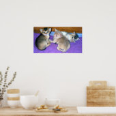 Kätzchen 3 Wochen alt Abessinier Poster (Küche)